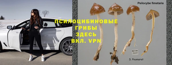 винт Нея