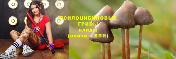 винт Нея
