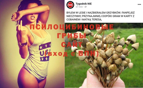 MDMA Premium VHQ Нефтегорск