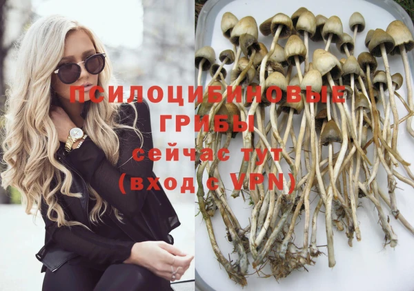 мет Нефтекумск